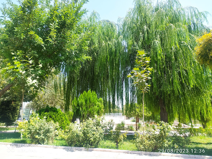 بوستان ۲۲ بهمن