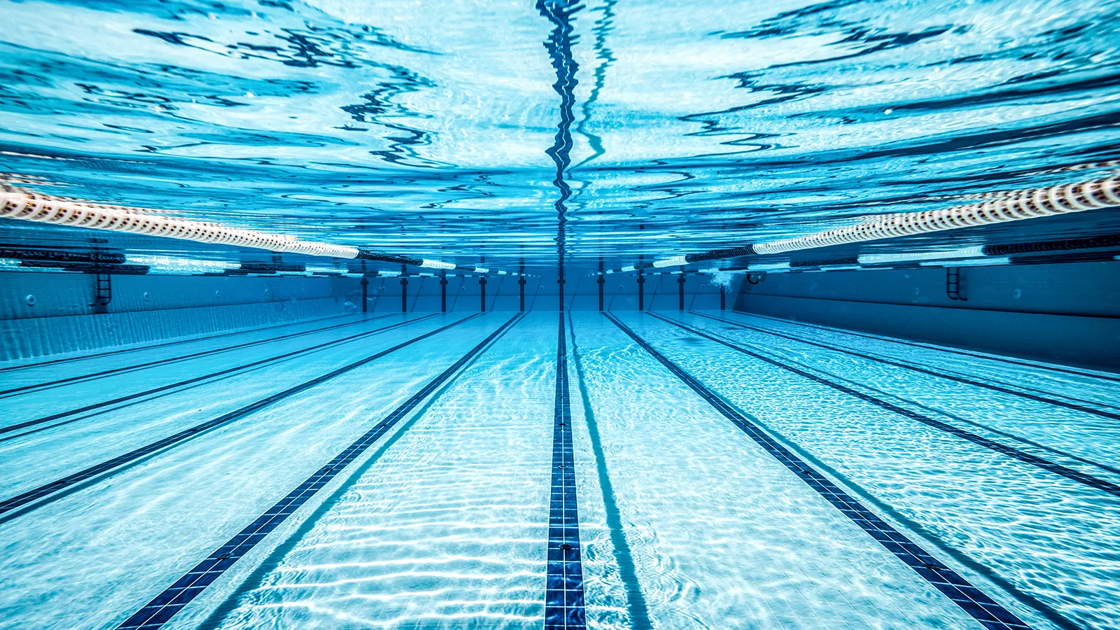 عکسی از بهترین استخر های شهریار