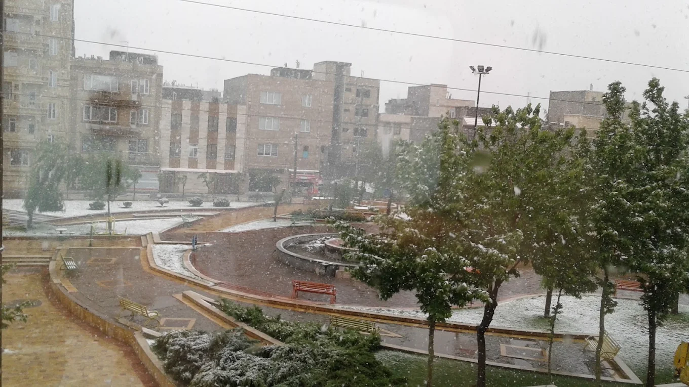پارک سعدی